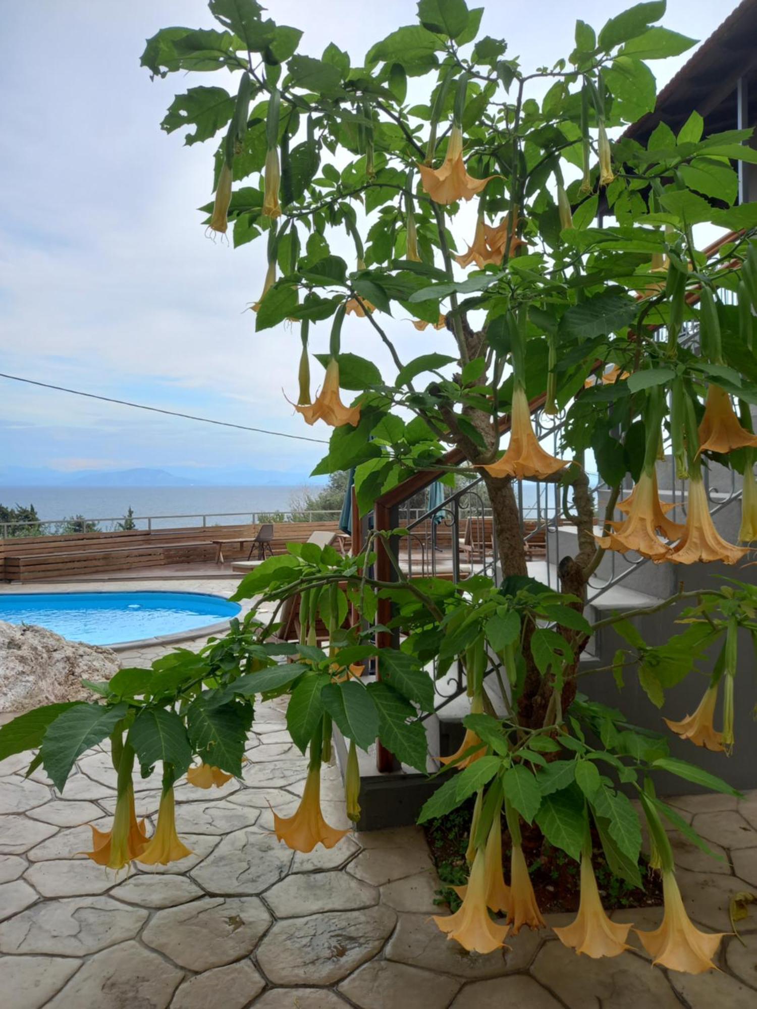 Seven Keys Luxury Suites Achílleion 外观 照片